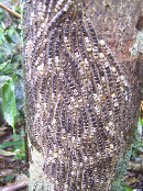 FIGURE 3 FIGURE 3